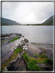 foto Parco di Killarney